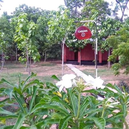 Hotel Lavish Eco Jungle Tissamaharama Esterno foto