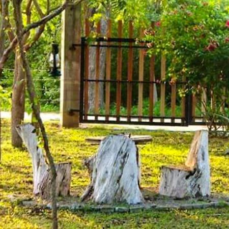 Hotel Lavish Eco Jungle Tissamaharama Esterno foto
