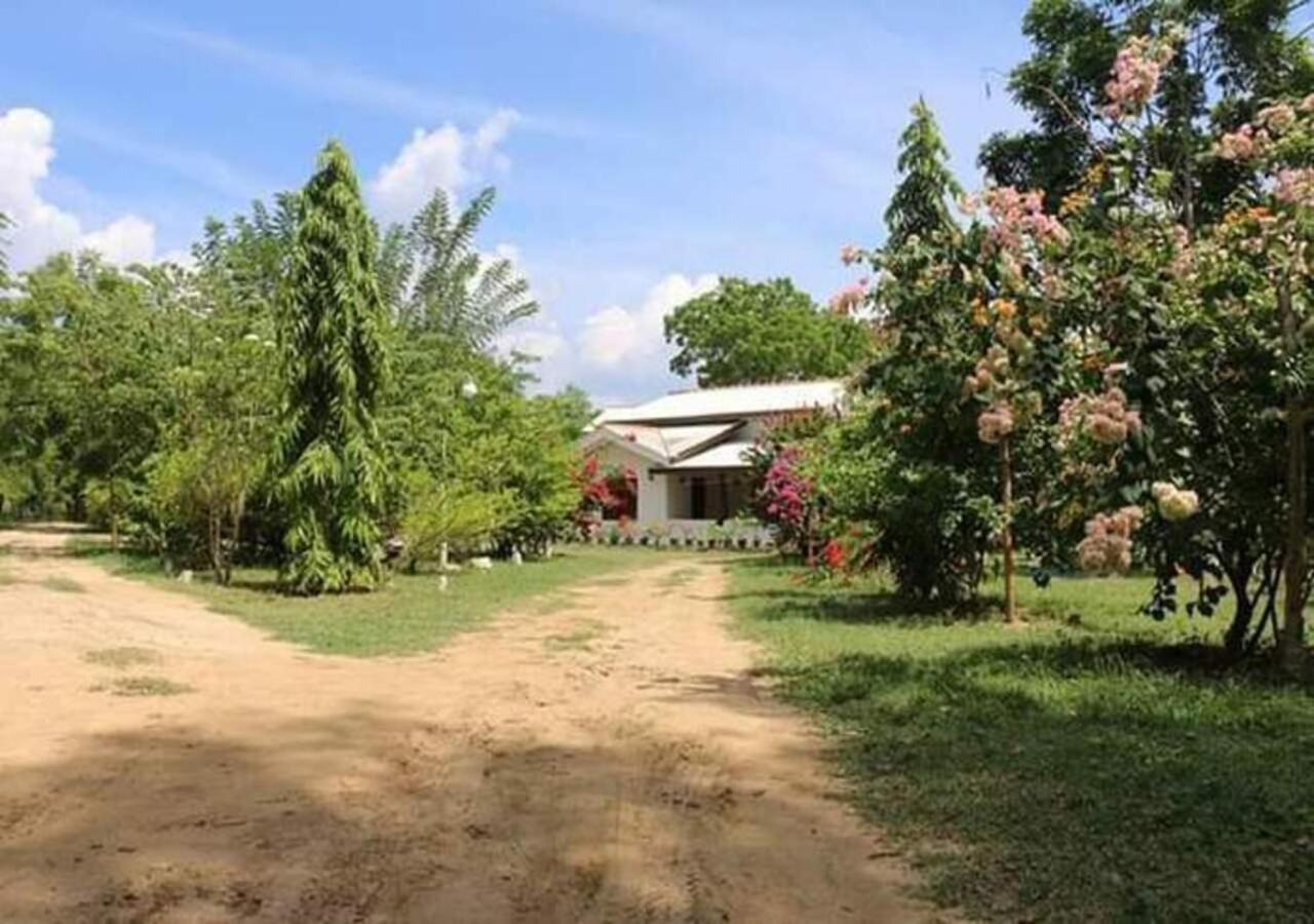 Hotel Lavish Eco Jungle Tissamaharama Esterno foto
