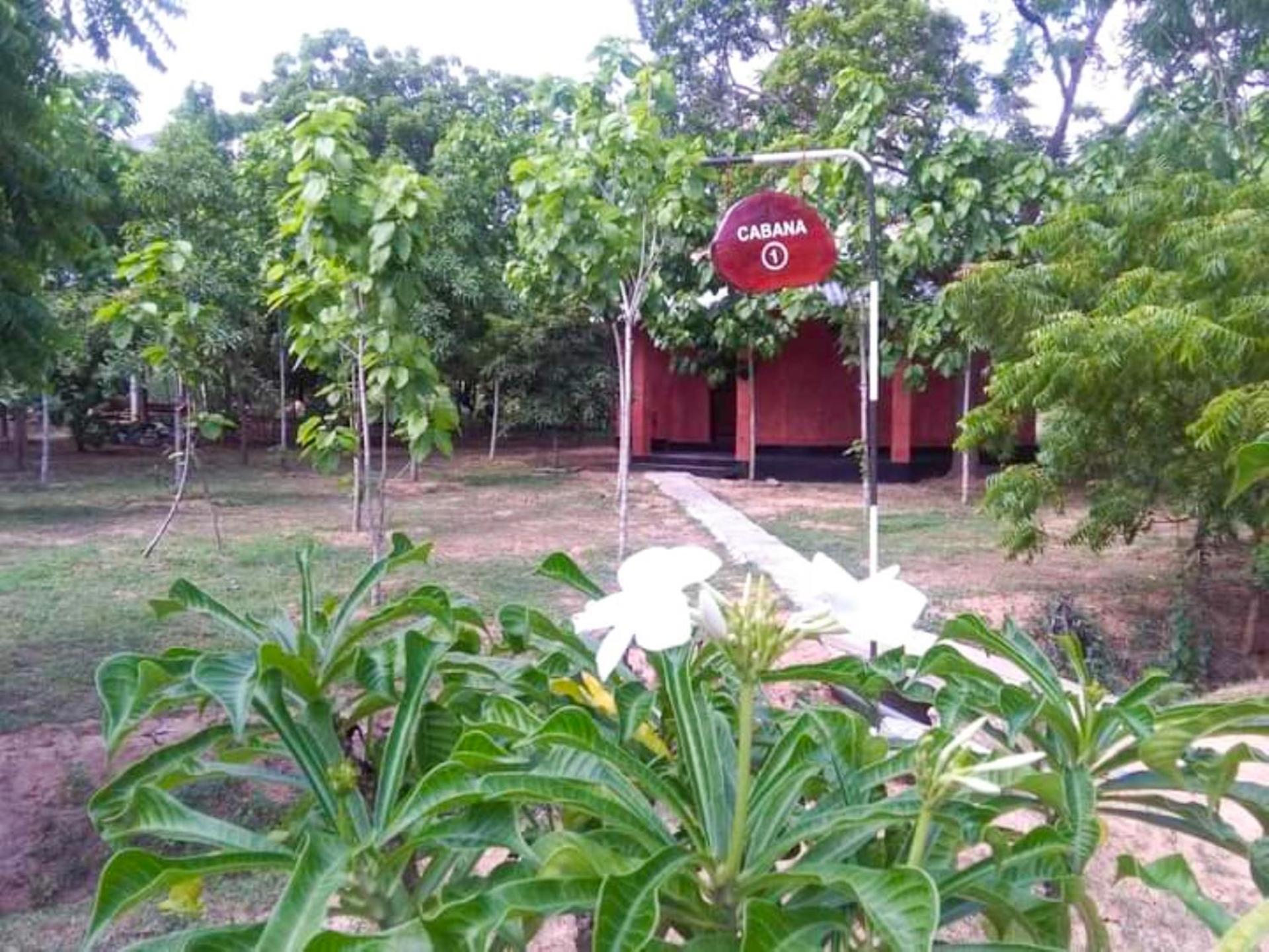 Hotel Lavish Eco Jungle Tissamaharama Esterno foto