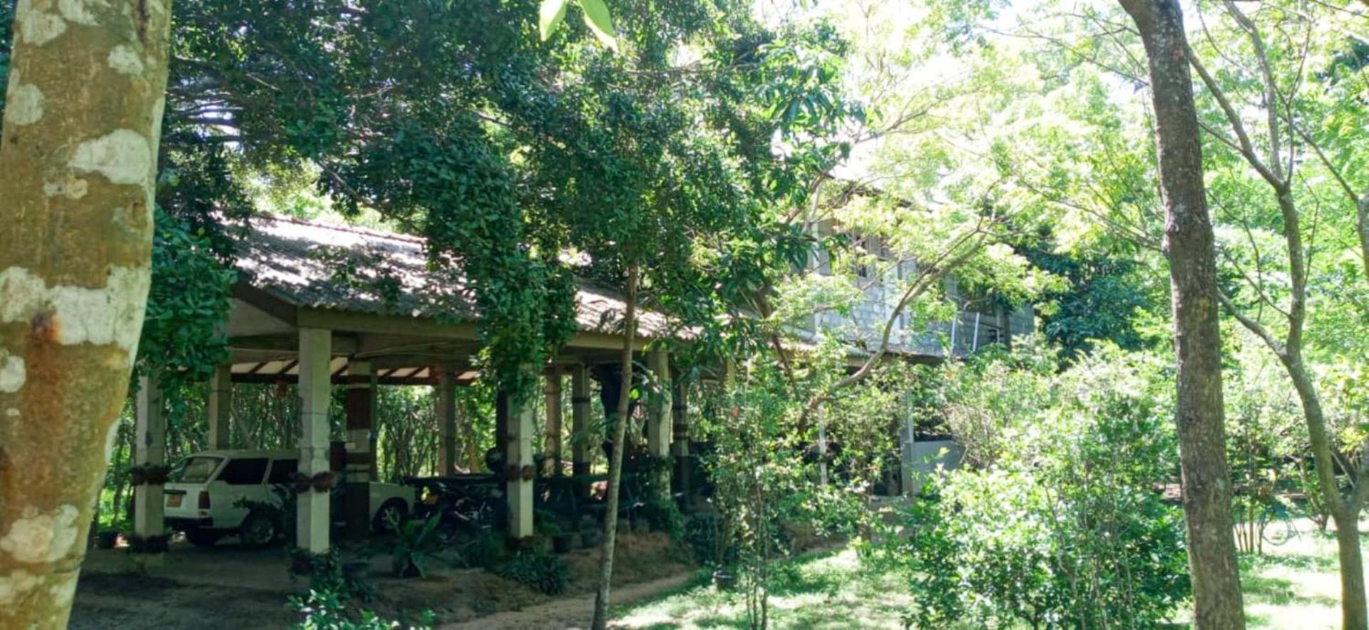Hotel Lavish Eco Jungle Tissamaharama Esterno foto