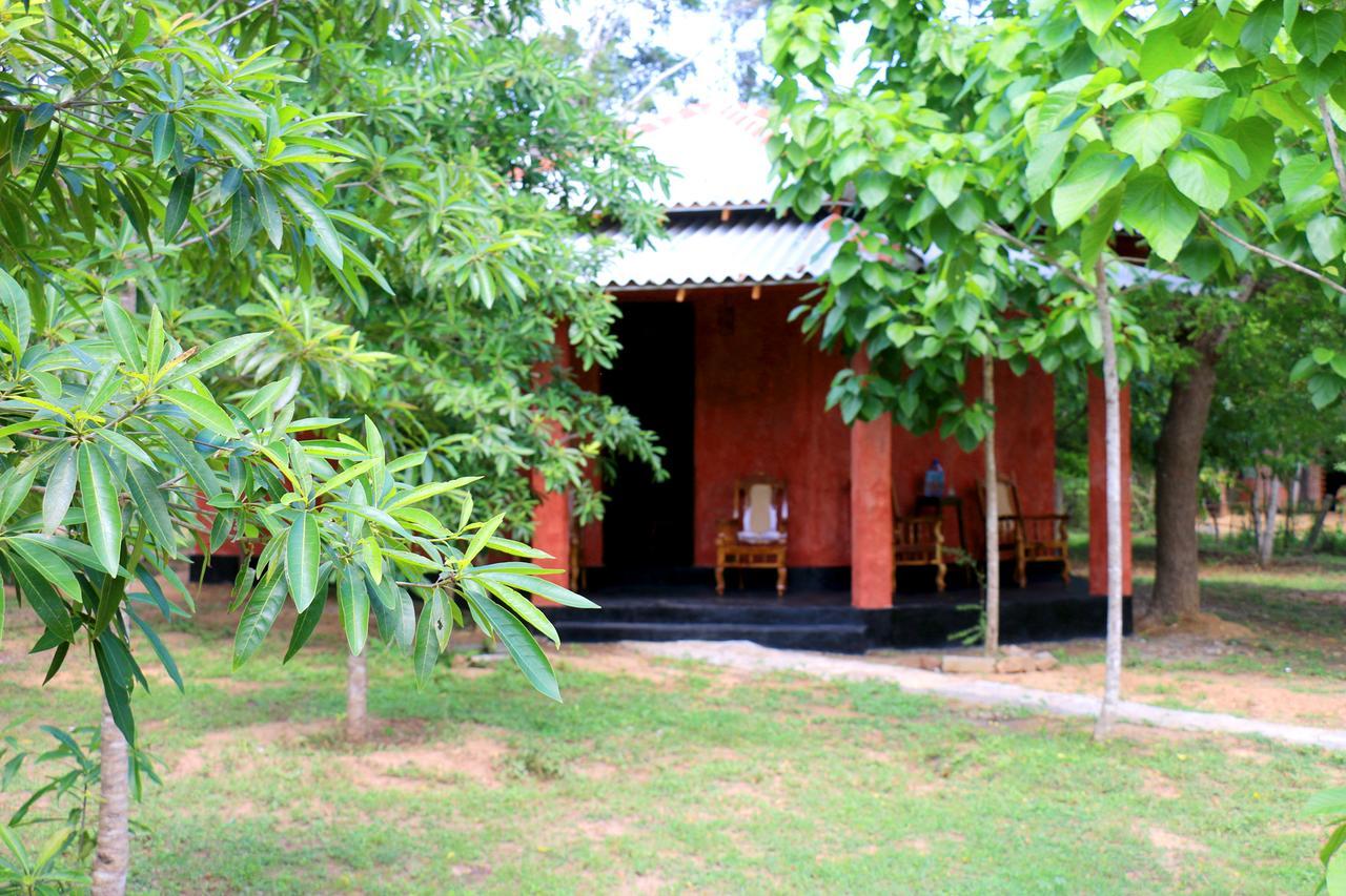 Hotel Lavish Eco Jungle Tissamaharama Esterno foto