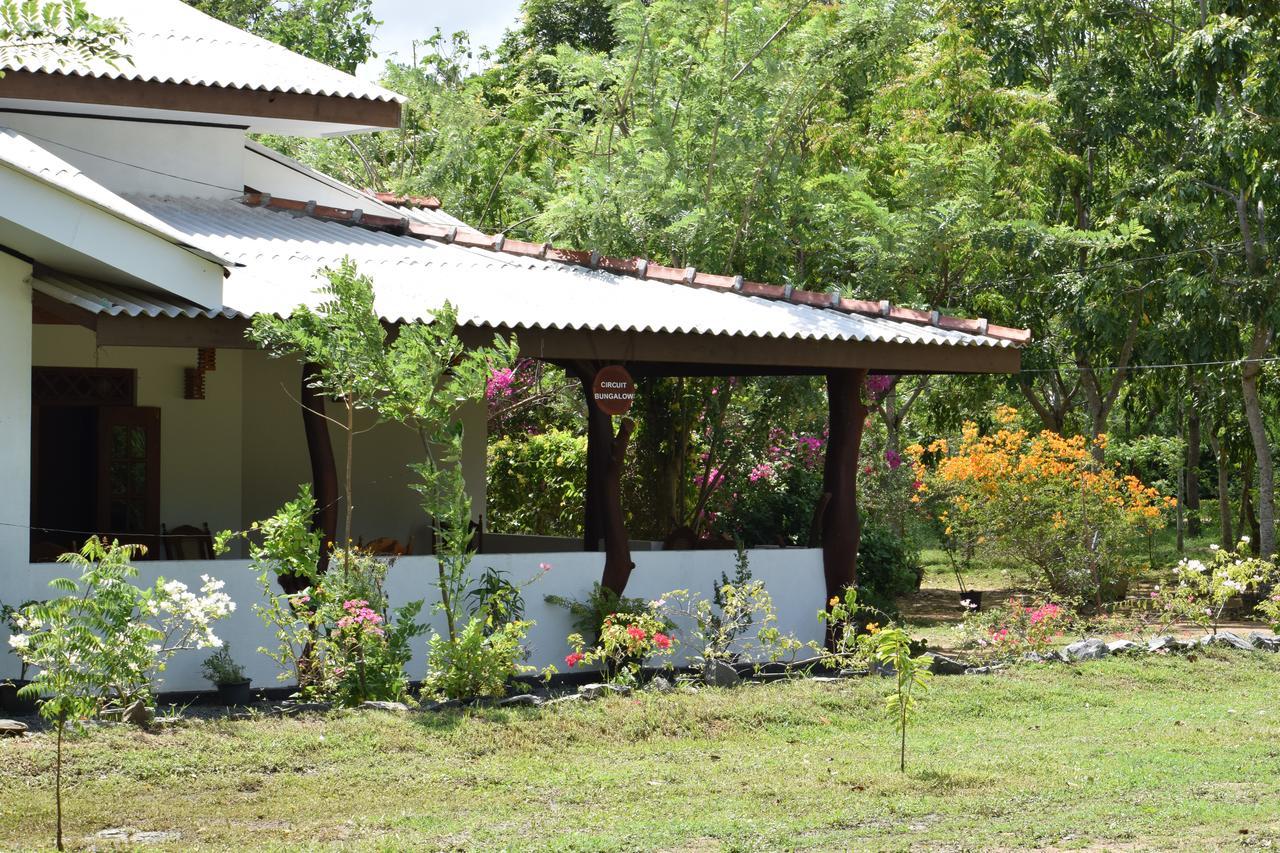 Hotel Lavish Eco Jungle Tissamaharama Esterno foto