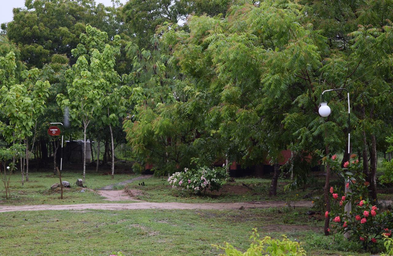 Hotel Lavish Eco Jungle Tissamaharama Esterno foto
