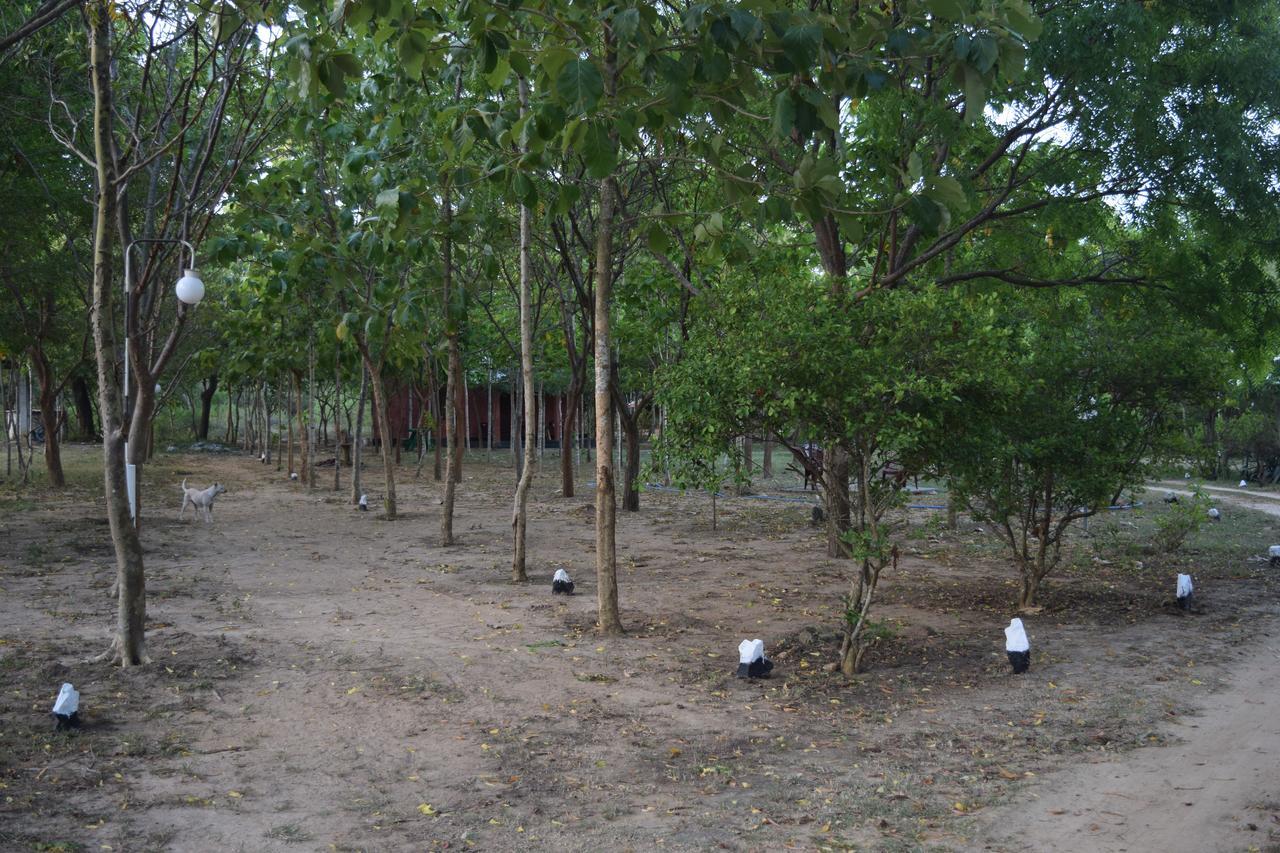 Hotel Lavish Eco Jungle Tissamaharama Esterno foto