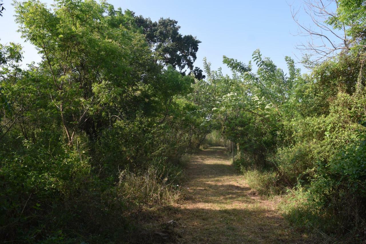 Hotel Lavish Eco Jungle Tissamaharama Esterno foto