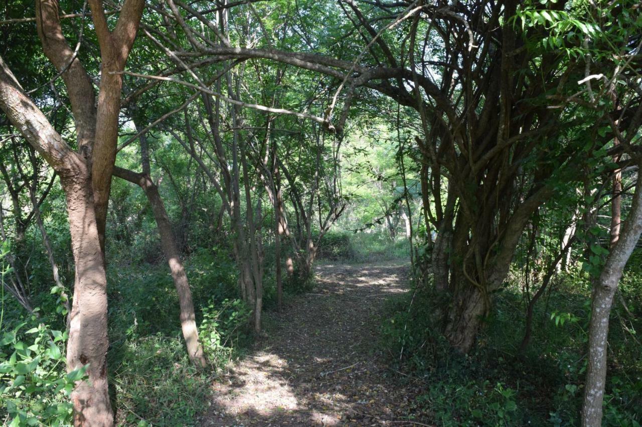 Hotel Lavish Eco Jungle Tissamaharama Esterno foto