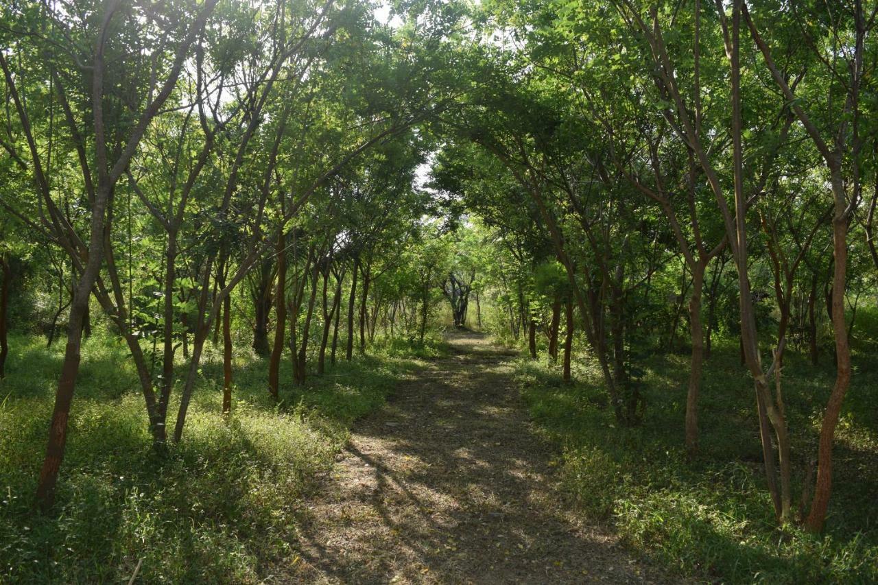Hotel Lavish Eco Jungle Tissamaharama Esterno foto